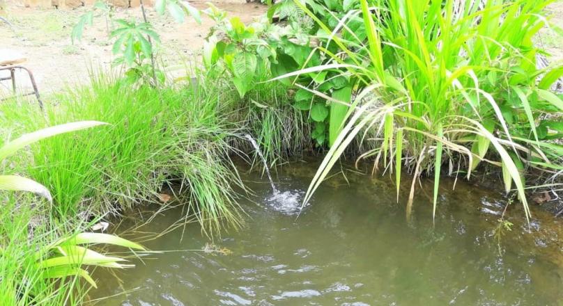 Unmissable, sale of farm in Pirenópolis in a privileged area