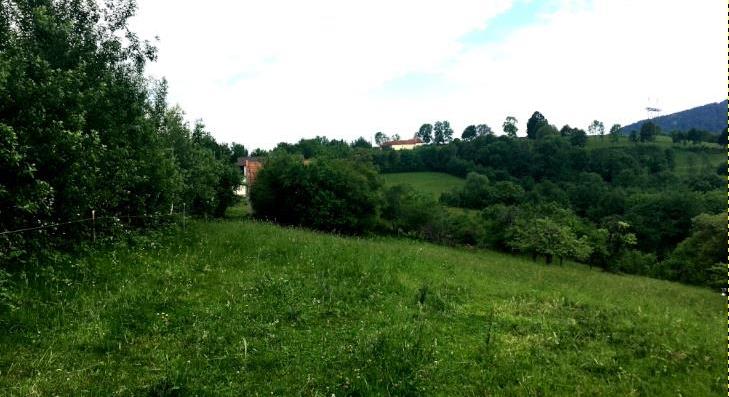20,000 sqm in the story of nature, Bran, Brasov