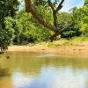 Unmissable, sale of chácara in Pirenópolis abundant in water
