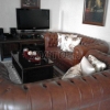 Convivial apartment 173 m2 for sale