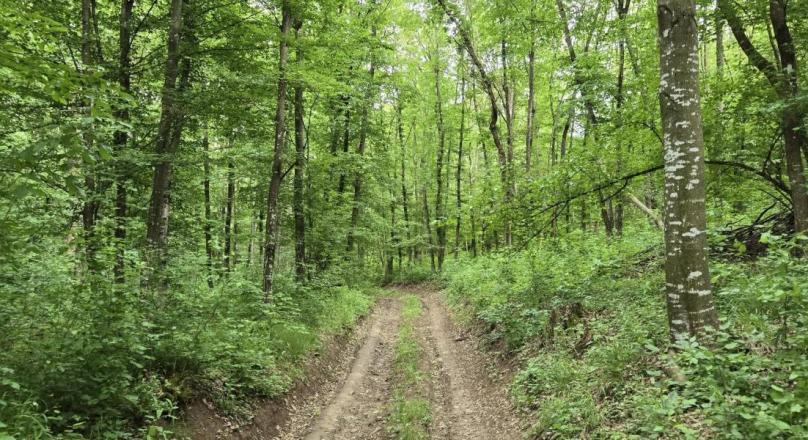 Beautiful spot for sale in Bulgaria