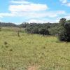 the sale of six plots of land near Pirenópolis