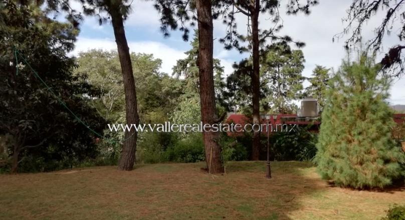 EXCELLENT HOUSE FOR RENT WITH SPACIOUS GARDEN