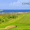 Camaya Coast Resort and Beach Properties