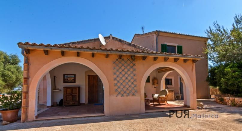 Bright villa with pool and private olive groves.
