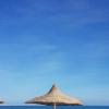Apartment in Intercontinental | Green contract