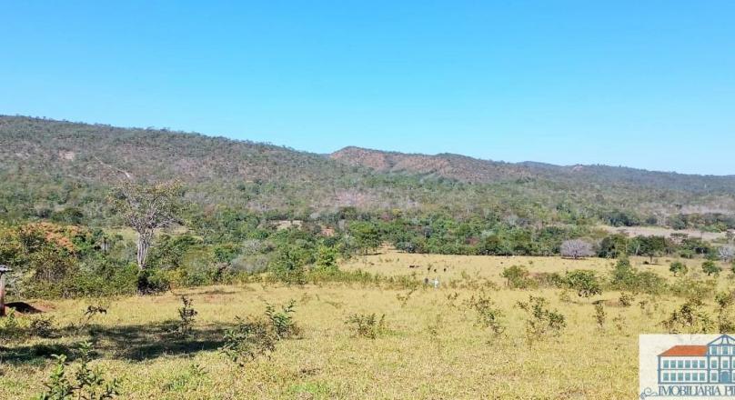 Sale of farm with exuberant beauty