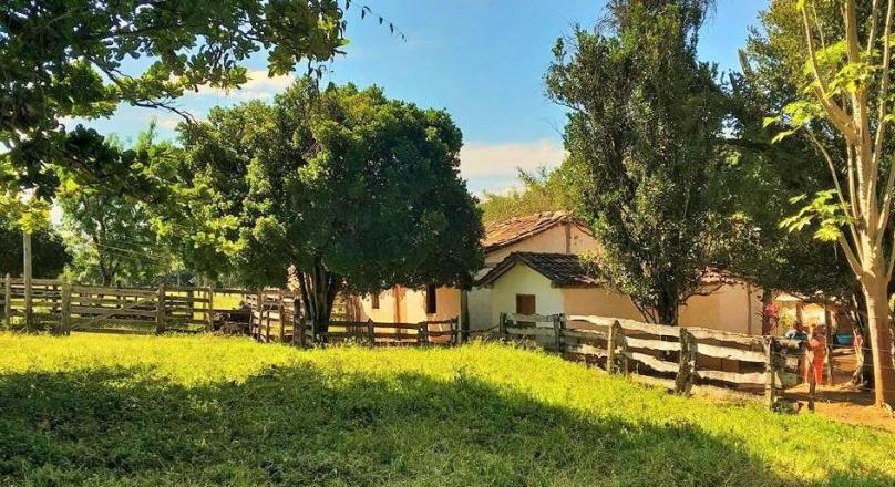 Sale of farm with an exuberant beauty