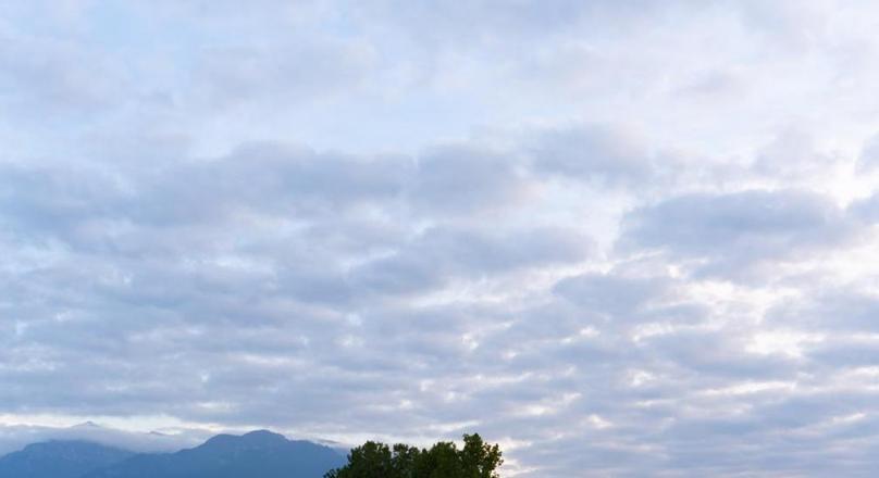 14,800 sqm, with PUZ for Holiday Homes, Rasnov Panicel