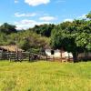 Sale of farm with an exuberant beauty