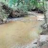 A must-see, sale of a farm in Pirenópolis