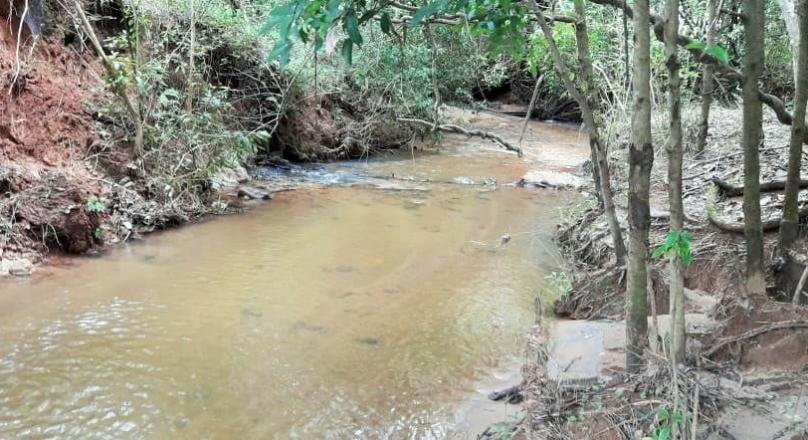 A must-see, sale of a farm in Pirenópolis