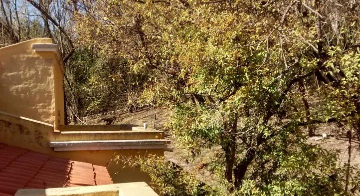 Se vende impresionante propiedad en Salta 