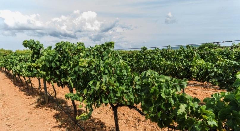 5-star country hotel, 21 rooms / suites, large SPA with indoor pool. 20 minutes to Palma! 