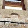 Townhouse completely renovated in the center of Javea
