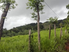 I sell property in Maquenco de Nicoya, 21 hectares with 3 eyes of water