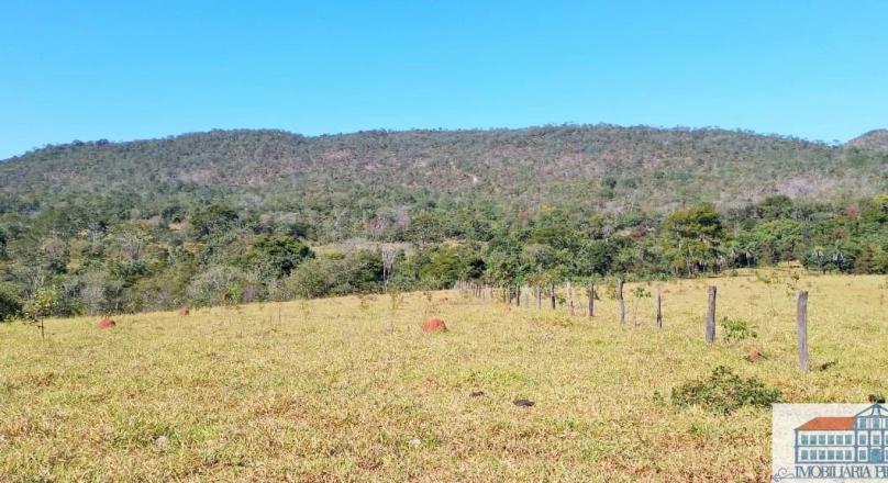Sale of farm with exuberant beauty