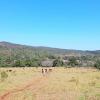 Sale of farm with exuberant beauty