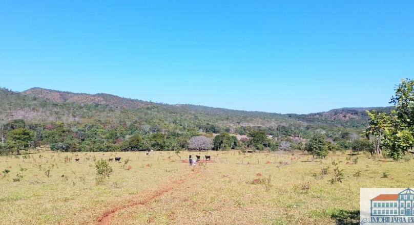 Sale of farm with exuberant beauty