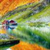 Dream on Transfagarasan
