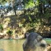 Unmissable, new exclusivity in Pirenópolis