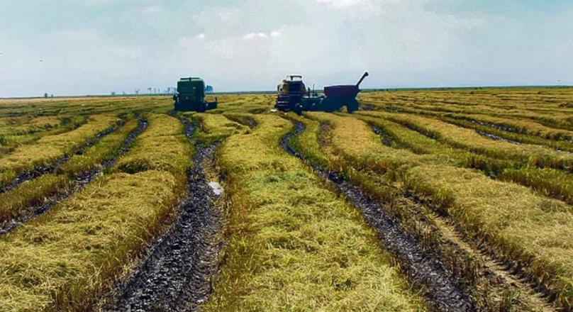 EVERY LAND SELLS AGRICULTURAL FIELD GOOD FARMER IN THE NORTH OF THE COUNTRY
