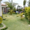 Three bedrooms flats for rent