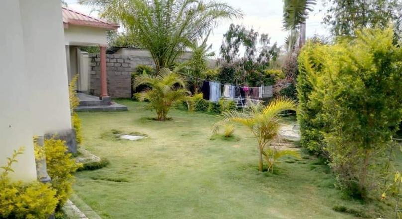 Three bedrooms flats for rent
