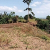 Lot for sale 15,964 area sqmtr