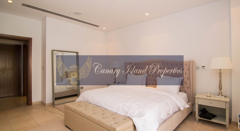 Beautiful Mansion In Jumeirah Islands Villa For Rent