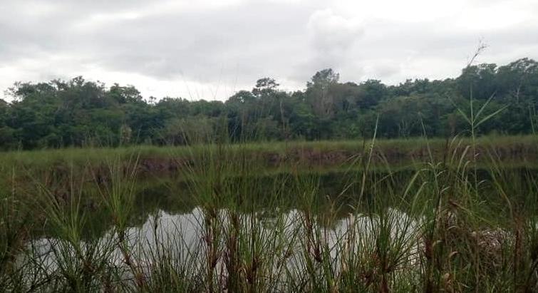 For sale land Riviera Maya.