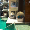 Departamento en Venta Playa del Carmen Centro