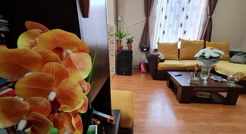With terrace and gazebo, also suitable for two families, Codlea, Brasov