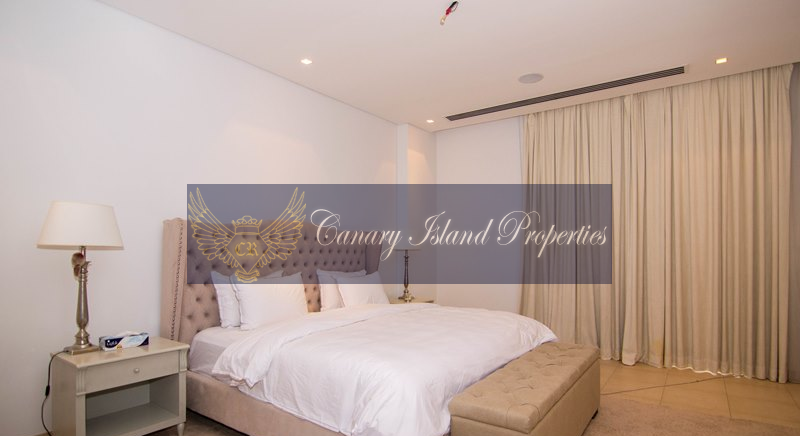 Beautiful Mansion In Jumeirah Islands Villa For Rent