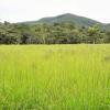 A must-see, sale of a farm in Pirenópolis