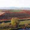 80,000 sqm of extra-urban land, Halchiu Brasov