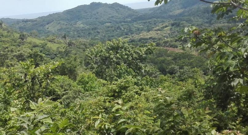 I sell property in Maquenco de Nicoya, 21 hectares with 3 eyes of water
