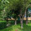 Villa property, surrounded by green space, Astra, Brasov