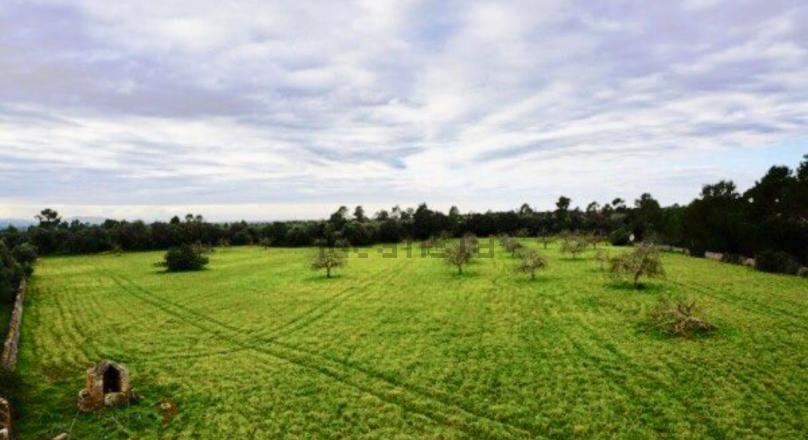 Country house for sale on the road to Ses erasses, 10