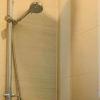 1 Bedroom 1 Bath - Apartment