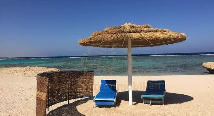 Luxury Apartment available for sale
