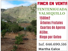 Estate in Tenteniguada, Valsequillo