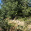 Parcela urbana de 1.880 m2 con vistas al mar en venta en Denia