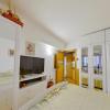 In the Cetinii Green Fir Arena, distinct residence