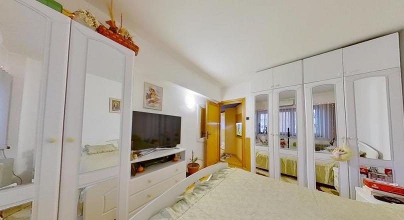 In the Cetinii Green Fir Arena, distinct residence
