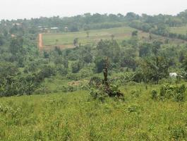 Our Wakiso Banda estate, 50*100 along Hoima Road with a private Mailo land 