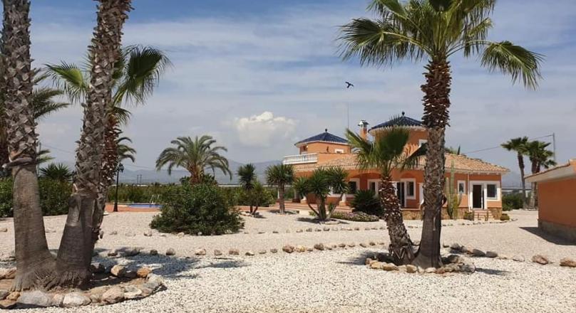 FINCA IN EL REALENGO, CATRAL