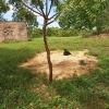 Land QUICK SALE