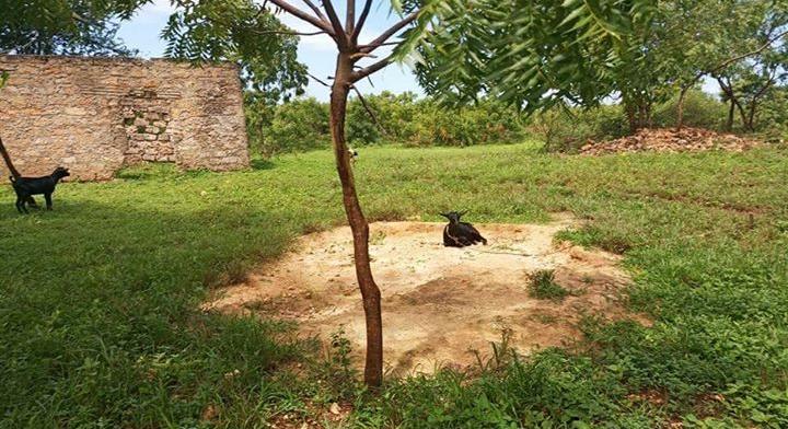 Land QUICK SALE