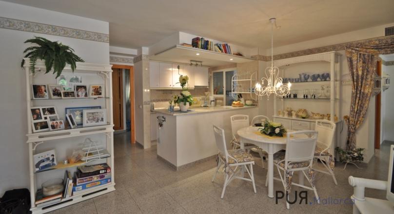 La Romana. The quiet district of Paguera. Near the beach. Bright. Small plant. Well maintained.